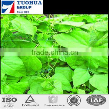 High Strength Durable Plant Support Plastic Netting