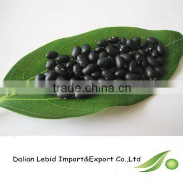 2016 Crop Black Kidney Beans Wholesale Price