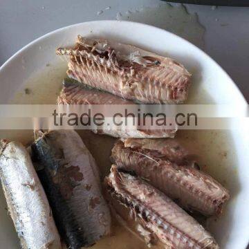 Wholesale Top Quality Canned Mackerel Best OEM photo-2