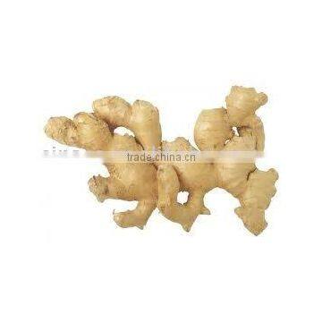 air dry ginger