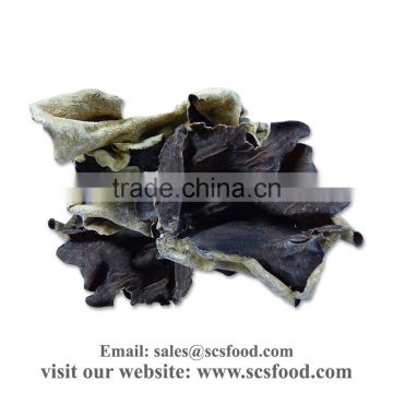 Premium Quality Dried Black Fungus / edible black fungus