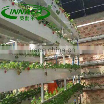 Vegetable slot to improve agricultural production tool