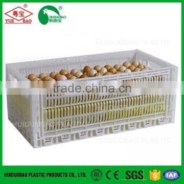 Plastic Poultry Transport Farm Egg Crate Chicken Cage for Sale photo-3