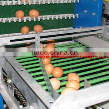 TAIYU Automatic Chicken Eggs Collecting Machine