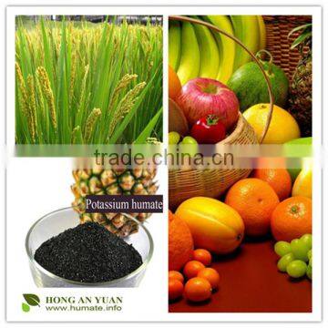 Marine Natural Organic Seaweed Extracts in Plant Health Fertilizer
