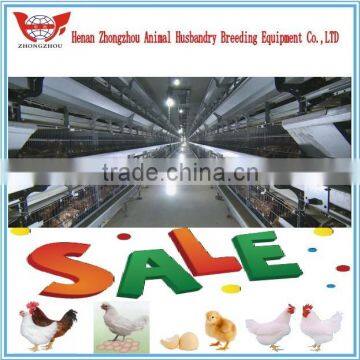 Whole chicken layer cage low price