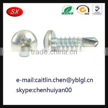 Dongguan Hardware Factory custom steel screw