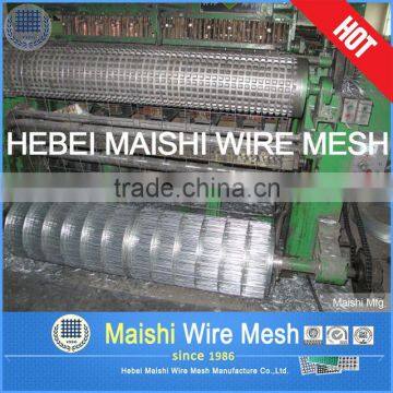 Bird Cage Galvanzied Welded Wire Mesh photo-6