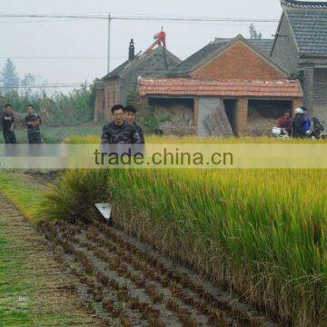 Multifunctional 4GL100 Mini Wheat Harvester Head photo-3