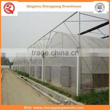 Agriculture Equipment Multi-span 7.2m PE Film Agriculture Greenhouse for Sale photo-5