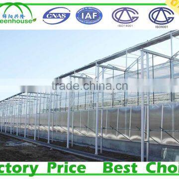 Venlo Glass Greenhouse photo-4