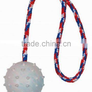 Custom Design Eva Pet Ball Toy Ball photo-5
