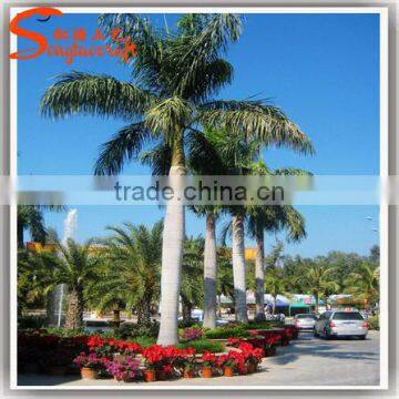 Led Palm Tree Light Led Outdoor Solar Tree Lights Coconut Palm Tree photo-4