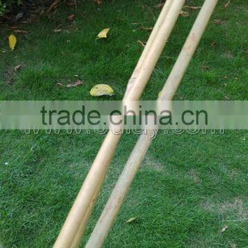 Thick Wall and Strong Tonkin Bamboo Canes for Supporting Plants at Cheap Price photo-2