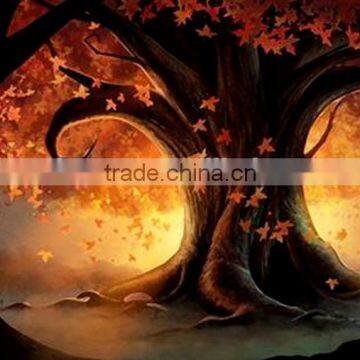 Fashion diy diamond painting,2014 new pictures.H1301
