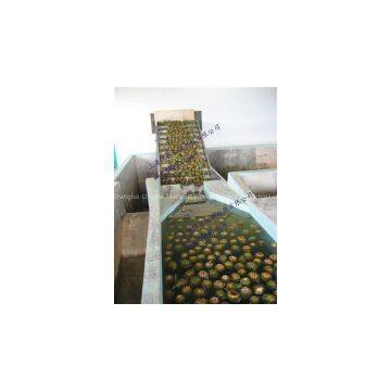 Pineapple processing line