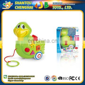 China hot products deft design distinctive plastic electrically music parrot toy