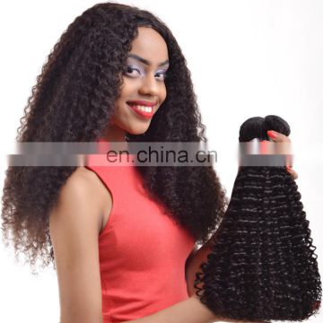 Good Feedback Wholesale Virgin Curly Human Hair kinky curly malaysian hair kinky curl sew in hair weave