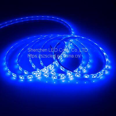 High Quality Cheap Price LC3528 60 Pixel /m IP 20 4.8w/m DC12V Blue Color Addressable Led Strip Light photo-4