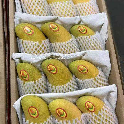 Mango & Lemon photo-5