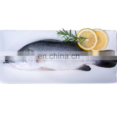 sea bass fish frozen seabass fish barramundi fish