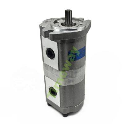 TIMEWAY CBK Series Hydraulic Double Gear Pump P221515DCG High Pressure Gear Oil Pump Customizable