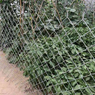 PVC Coated Chain Link Fence Mesh 1.8m Height Ideal for Sports Fields & Playgrounds photo-4