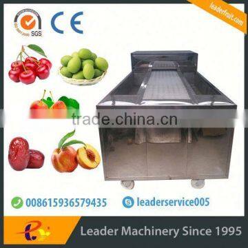 Leader Cherry Kernel Pitting Machine With Website:leaderservice005 photo-2