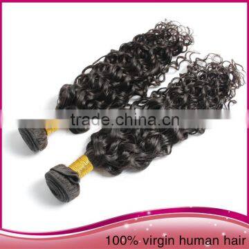 Tangle Free High Quality Unprocessed Brazilian Human Hair Afro Women Water Wave Hair Extension photo-3