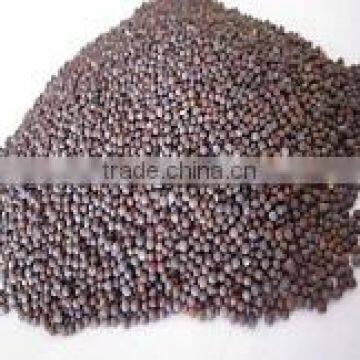 Micro Mustard Seeds