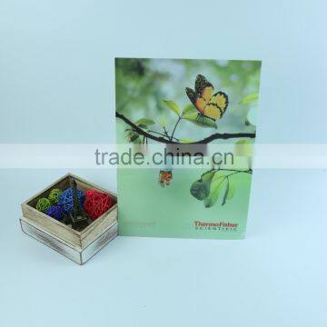 Hot Sales Clear pp Plastic Business a4 File Holder L Shape File Folder PP Expanding Files photo-2