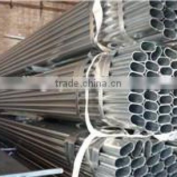 pre galvanised flat oval steel pipe