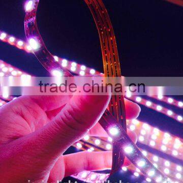 5050 smd IP68 waterproof wifi control flexible led strip