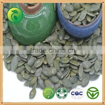 cashew nut Pumpkin Seeds kernels GWS new crop