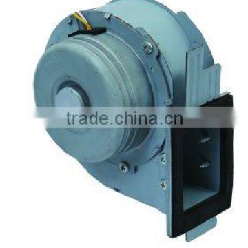 DC Brushless Motor(Lepuda motor)