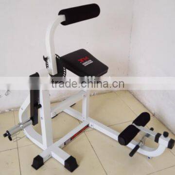 Seated Leg Curl Arm Curl Bench