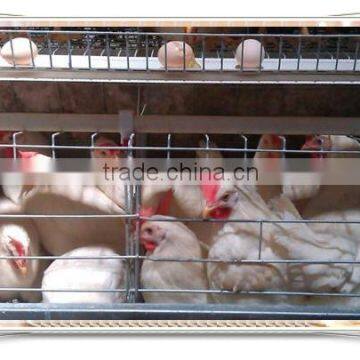 Focus industry design chicken coop chicken floor raising chicken cage raising equipment