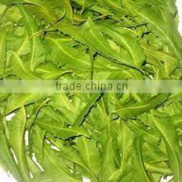 Neem Leaves