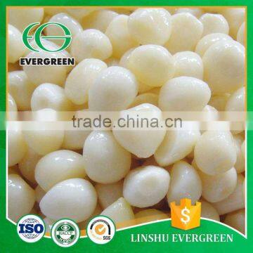 Chinese Garlic Professional Supplier Tasty Garlic Cloves In Brine