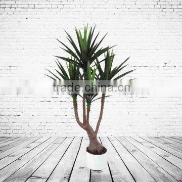 Home Decorative Artificial Bonsai Tree For Sale