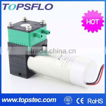 DC Brushless Diaphragm 6v 12v 24v pump for beauty salon Aroma Diffusion System