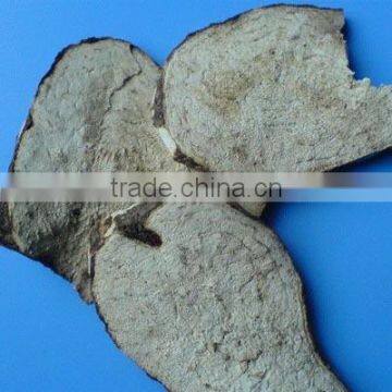 Stephania cepharantha Hayata Extract