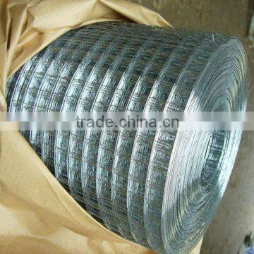 galvanised welded wire mesh 1/2" * 1/2"