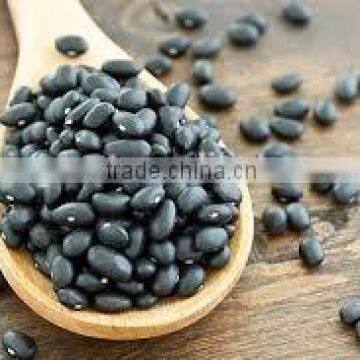 we are supplying all kinds of black beans for sale