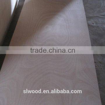 Commercial Plywood with poplar core ,bingtangor f/b