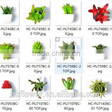 Various Kinds of Mini Artificial Succulents For Your Choosing