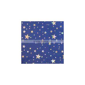 bluecolor PVC panel (small star) (RPV102-4)