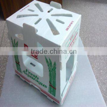 corrugated plastic packaging box for Asparagus