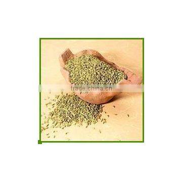 FENNEL SEEDS