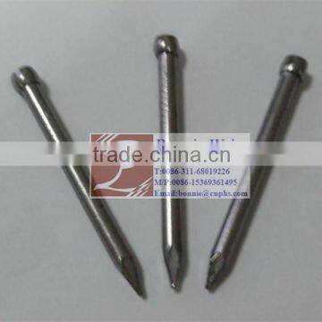 Hot dipped galvanized Head Less Nail